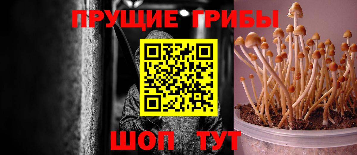 Псилоцибиновые грибы GOLDEN TEACHER Урай